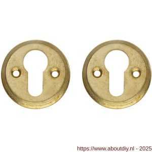 Intersteel Living 3173 cilinderrozetten diameter 50x5 mm messing getrommeld - A26011102 - afbeelding 1