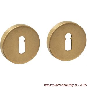 Intersteel Living 3410 sleutelrozetten verdekt diameter 53x9 mm PVD messing getrommeld - A26010943 - afbeelding 1