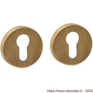 Intersteel Living 3410 cilinderrozetten verdekt diameter 53x9 mm PVD messing getrommeld - A26010942 - afbeelding 1