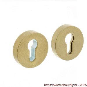 Intersteel Living 3750 SKG3 veiligheidsrozetten rond verdekt diameter 55x12 mm profielcilindergat messing getrommeld - A26003572 - afbeelding 1