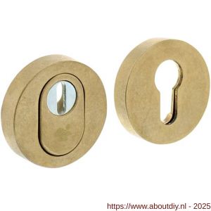Intersteel Living 3751 SKG3 veiligheidsrozetten rond verdekt diameter 55x12 mm profielcilindergat met kerntrekbeveiliging messing getrommeld - A26004718 - afbeelding 1