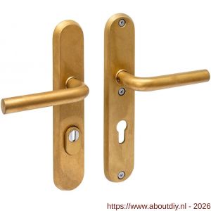 Intersteel Living 3787 SKG3 veiligheidsbeslag ovaal 250x50 mm kruk-kruk Luzern met veerconstructie profielcilindergat 72 mm met kerntrekbeveiliging PVD messing getrommeld - A26010939 - afbeelding 1