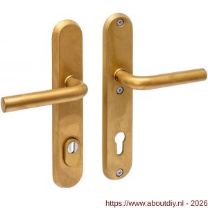 Intersteel Living 3787 SKG3 veiligheidsbeslag ovaal 250x50 mm kruk-kruk Luzern met veerconstructie profielcilindergat 92 mm met kerntrekbeveiliging PVD messing getrommeld - A26010938 - afbeelding 1