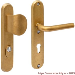 Intersteel Living 3788 SKG3 veiligheidsbeslag ovaal 250x50 mm greep-kruk Luzern met veerconstructie profielcilindergat 72 mm met kerntrekbeveiliging PVD messing getrommeld - A26010937 - afbeelding 1