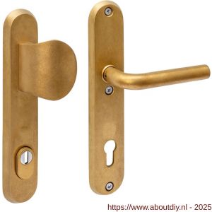 Intersteel Living 3788 SKG3 veiligheidsbeslag ovaal 250x50 mm greep-kruk Luzern met veerconstructie profielcilindergat 92 mm met kerntrekbeveiliging PVD messing getrommeld - A26010936 - afbeelding 1