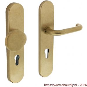 Intersteel Living 3846 SKG3 veiligheidsbeslag ovaal verdekt 252x54 mm greep-kruk Rond profielcilindergat 72 mm messing getrommeld - A26003465 - afbeelding 1