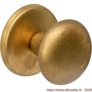 Intersteel Living 3930 voordeurknop Paddenstoel diameter 58 mm op achterplaat diameter 66 mm éénzijdige montage PVD messing getrommeld - A26010935 - afbeelding 1