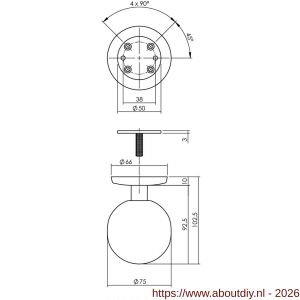 Intersteel Living 3930 voordeurknop bol diameter 75 mm op achterplaat diameter 66 mm éénzijdige montage PVD messing getrommeld - A26010933 - afbeelding 2
