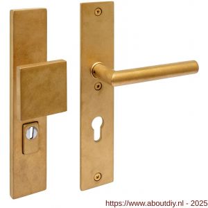 Intersteel Living 3962 SKG3 veiligheidsbeslag rechthoekig 250x50 mm greep-kruk Jura profielcilindergat 72 mm met kerntrekbeveiliging PVD messing getrommeld - A26010932 - afbeelding 1