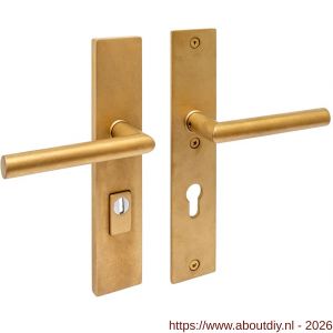 Intersteel Living 3964 SKG3 veiligheidsbeslag rechthoekig 250x50 mm kruk-kruk Jura met veerconstructie profielcilindergat 72 mm met kerntrekbeveiliging PVD messing getrommeld - A26010930 - afbeelding 1