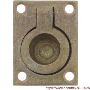 Intersteel Living 7526 luikring recht 41x31 mm messing getrommeld - A26009609 - afbeelding 1