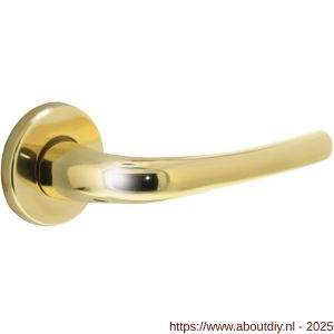 Intersteel Living 0194 deurkruk Cosmos op rozet verdekt diameter 49x7 mm messing gelakt - A26000323 - afbeelding 1