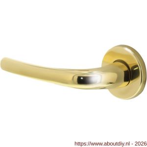 Intersteel 0194 deurkruk gatdeel links Cosmos op rozet verdekt diameter 49x7 mm messing gelakt - A26001249 - afbeelding 1