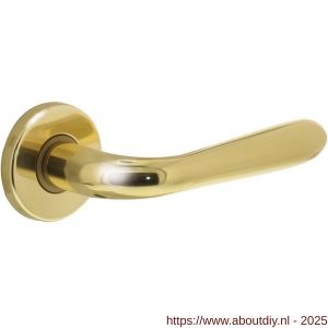 Intersteel Living 0195 deurkruk Jupiter op rozet verdekt diameter 49x7 mm messing gelakt - A26000324 - afbeelding 1