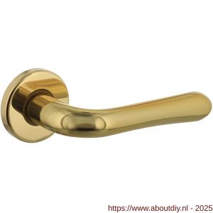 Intersteel Living 0198 deurkruk Saturnus op rozet verdekt diameter 49x7 mm messing gelakt - A26000327 - afbeelding 1