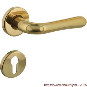 Intersteel 0198 deurkruk Saturnus op rozet verdekt diameter 49x7 mm en cilinderrozetten messing gelakt - A26010581 - afbeelding 1