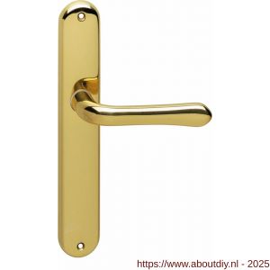 Intersteel 0198 deurkruk Saturnus op schild ovaal 236x37 mm blind messing gelakt - A26001922 - afbeelding 1