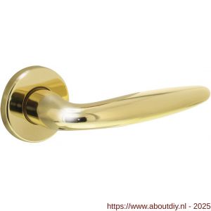 Intersteel Living 0199 deurkruk Sigaar op rozet verdekt diameter 49x7 mm messing gelakt - A26000330 - afbeelding 1
