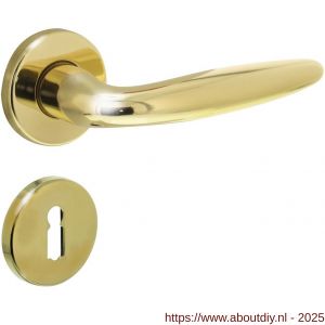 Intersteel 0199 deurkruk Sigaar op rozet verdekt diameter 49x7 mm en sleutelrozetten messing gelakt - A26010583 - afbeelding 1