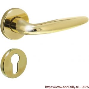 Intersteel 0199 deurkruk Sigaar op rozet verdekt diameter 49x7 mm en cilinderrozetten messing gelakt - A26010584 - afbeelding 1