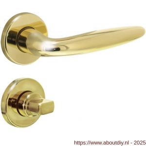 Intersteel 0199 deurkruk Sigaar op rozet verdekt diameter 49x7 mm en WC-sluiting met stift 8x8 mm messing gelakt - A26010585 - afbeelding 1