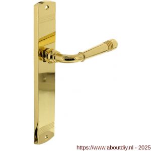 Intersteel Living 1705 deurkruk Helena op schild afgerond 235x45 mm blind PVD messingkleur - A26007936 - afbeelding 1