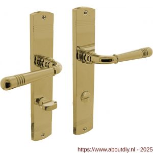 Intersteel 1705 deurkruk Helena op schild afgerond 235x45 mm WC 78/8 mm PVD messingkleur - A26004790 - afbeelding 1