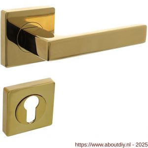 Intersteel 1713 deurkruk Hera op rozet verdekt 55x55x10 mm met nokken en cilinderrozetten PVD messingkleur - A26010146 - afbeelding 1
