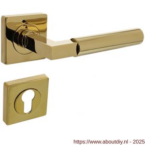 Intersteel 1741 deurkruk Baustil op rozet verdekt 55x55x10 mm met nokken en cilinderrozetten PVD messingkleur - A26010154 - afbeelding 1