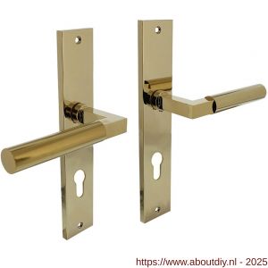 Intersteel Living 1742 deurkruk Baustil op schild rechthoekig 245x45 mm profielcilindergat 72 mm PVD messingkleur - A26010164 - afbeelding 1
