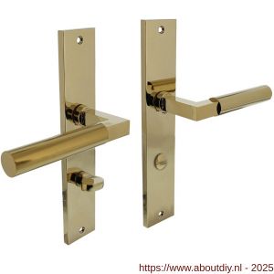 Intersteel 1742 deurkruk Baustil op schild rechthoekig 245x45 mm WC 78/7 mm PVD messingkleur - A26010166 - afbeelding 1