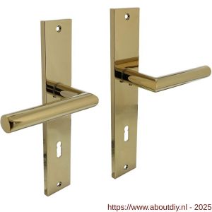 Intersteel 1743 deurkruk Bastian op schild rechthoekig 245x45 mm sleutelgat 78 mm PVD messingkleur - A26010172 - afbeelding 1