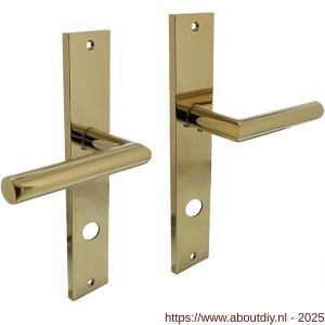 Intersteel 1743 deurkruk Bastian op schild rechthoekig 245x45 mm rondcilindergat 78 mm PVD messingkleur - A26010589 - afbeelding 1