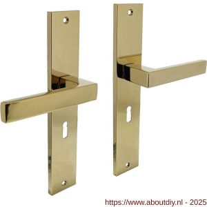 Intersteel Living 1744 deurkruk Hera op schild rechthoekig 245x45 mm sleutelgat 56 mm PVD messingkleur - A26010179 - afbeelding 1