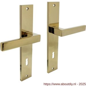 Intersteel 1744 deurkruk Hera op schild rechthoekig 245x45 mm sleutelgat 78 mm PVD messingkleur - A26010591 - afbeelding 1
