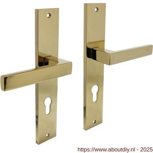 Intersteel Living 1744 deurkruk Hera op schild rechthoekig 245x45 mm profielcilindergat 72 mm PVD messingkleur - A26010182 - afbeelding 1