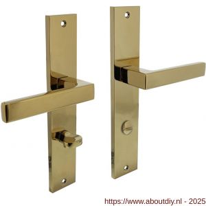 Intersteel 1744 deurkruk Hera op schild rechthoekig 245x45 mm WC 78/8 mm PVD messingkleur - A26010184 - afbeelding 1