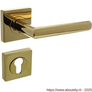 Intersteel 1747 deurkruk Bastian op rozet verdekt 55x55x10 mm met nokken en cilinderrozetten PVD messingkleur - A26010189 - afbeelding 1
