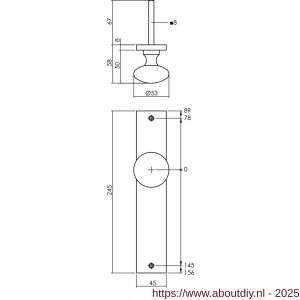 Intersteel Living 2128 knopschild rechthoekig 245x45x8 mm met vaste knop Paddenstoel en wisselstift blind PVD messingkleur - A26010193 - afbeelding 2