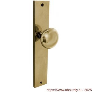 Intersteel Living 2128 knopschild rechthoekig 245x45x8 mm met vaste knop Paddenstoel en wisselstift blind PVD messingkleur - A26010193 - afbeelding 1
