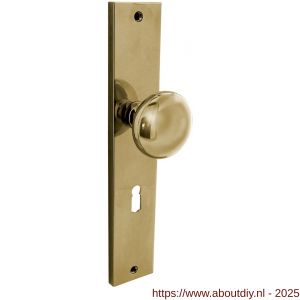 Intersteel Living 2128 knopschild rechthoekig 245x45x8 mm met vaste knop Paddenstoel en wisselstift sleutelgat 56 mm PVD messingkleur - A26010194 - afbeelding 1