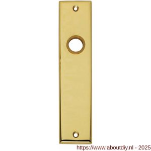Intersteel 2568 renovatie kortschild rechthoekig 181x41x7 mm blind messing gelakt - A26002823 - afbeelding 1