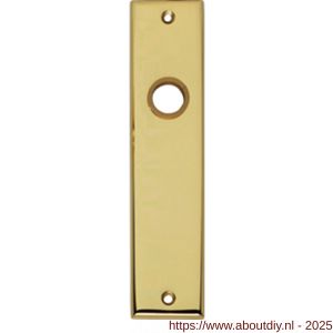 Intersteel 2568 renovatie kortschild rechthoekig 181x41x7 mm sleutelgat 56 mm messing gelakt - A26002824 - afbeelding 1