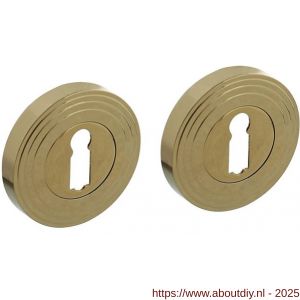 Intersteel Living 3178 sleutelrozetten verdekt met rillen diameter 55x10 mm en nokken PVD messingkleur - A26011019 - afbeelding 1