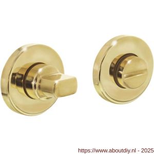 Intersteel Living 3186 WC-sluiting verdekt diameter 49x7 mm met stift 8x8 mm messing gelakt - A26002725 - afbeelding 1