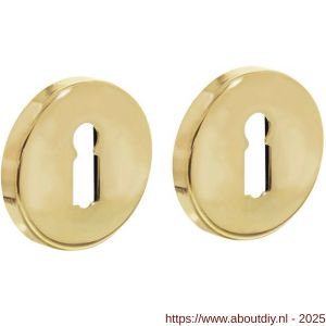 Intersteel Living 3186 sleutelrozetten verdekt diameter 49x7 mm messing gelakt - A26011111 - afbeelding 1