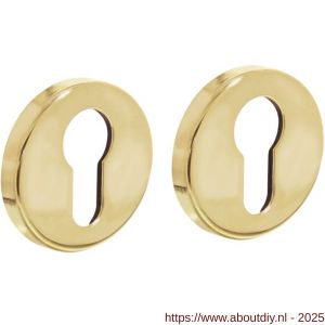 Intersteel Living 3186 cilinderrozetten verdekt diameter 49x7 mm messing gelakt - A26011112 - afbeelding 1