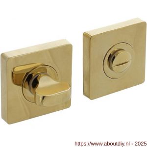 Intersteel 3191 WC-sluiting verdekt 55x55x10 mm met nokken en stift 7x7 mm PVD messingkleur - A26010198 - afbeelding 1