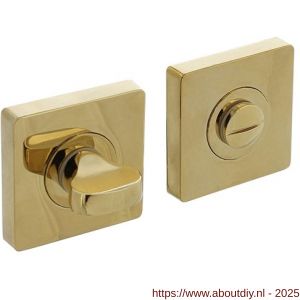 Intersteel Living 3191 WC-sluiting verdekt 55x55x10 mm met nokken en stift 8x8 mm PVD messingkleur - A26010199 - afbeelding 1