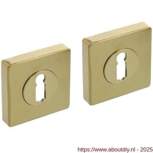 Intersteel Living 3191 sleutelrozetten verdekt 55x55x10 mm met nokken PVD messingkleur - A26010200 - afbeelding 1